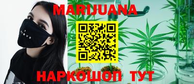 шишки Кандалакша