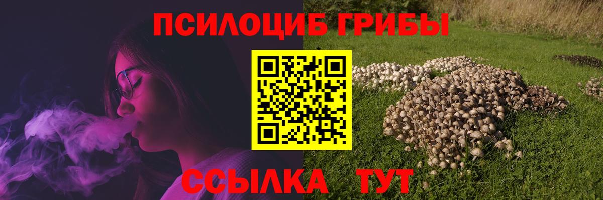 Галлюциногенные грибы мицелий Дагестанские Огни
