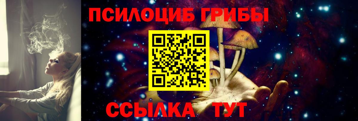 Дагестанские Огни  Галлюциногенные грибы Cubensis  Вход с VPN  Псилоцибиновые грибы мицелий 